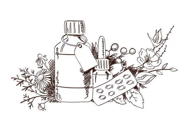 手绘的药用植物和医学. — 图库矢量图片