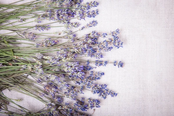 Färska lavendelblommor på grå Tyg bakgrund. Ovanifrån av en lavendelblommor, kopiera utrymme för din text. — Stockfoto