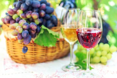 Yazın kırmızı ve beyaz şarap, olgun üzümlerin arka planına karşı..