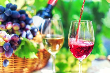 Yazın üzüm bağında kırmızı şarap bir bardağa doldurulur..