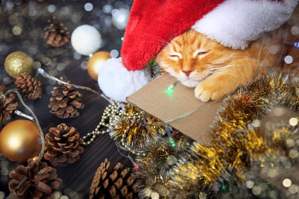 Casa gato vermelho dorme em uma caixa com decorações de Natal. O conceito de feriados de Ano Novo e Natal . — Fotografia de Stock