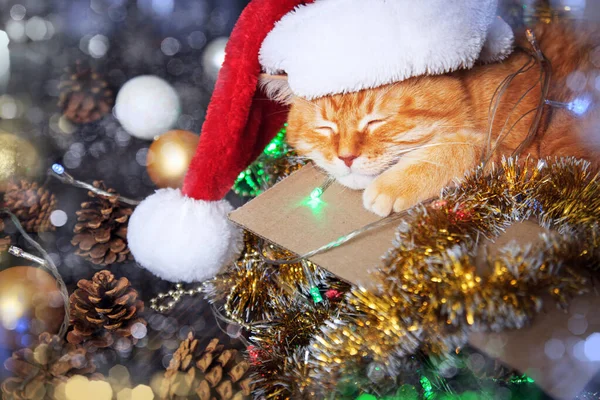 Kırmızı ev kedisi, içinde Noel süsleri olan bir kutuda uyuyor. Yeni yıl ve Noel tatili kavramı. — Stok fotoğraf