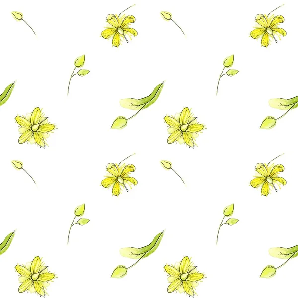 Płynny akwarelowy wzór kwiatów lipy na białym tle. — Zdjęcie stockowe