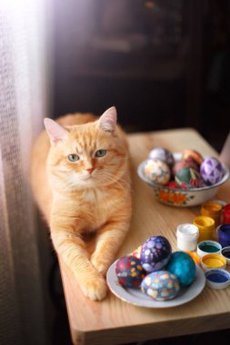 Evde kırmızı kedi ve masada paskalya yumurtası.