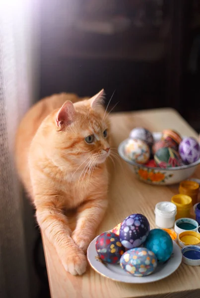 Casa gato vermelho e ovos de Páscoa na mesa . — Fotografia de Stock