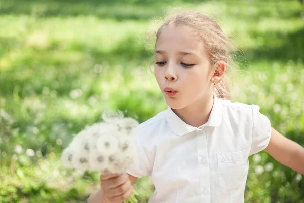 En flicka i förskola eller grundskoleålder med maskrosor i handen på en sommaräng. — Stockfoto