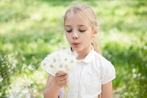 Dívka předškolního nebo základního školního věku s pampeliškami v ruce na letní louce. — Stock fotografie