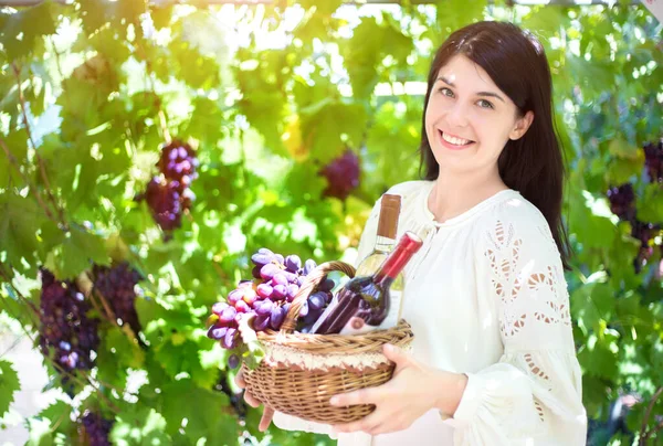 Jonge Vrouw Met Een Mand Druiven Flessen Wijn Wijngaard Wijnproductie — Stockfoto