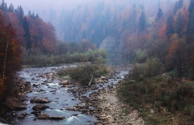 Sonbahar zamanı dağ nehri. Kaya kıyısı. Renkli orman manzarası