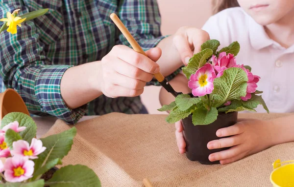 Menina bonito ajuda sua mãe a cuidar de plantas. Fechar . — Fotografia de Stock