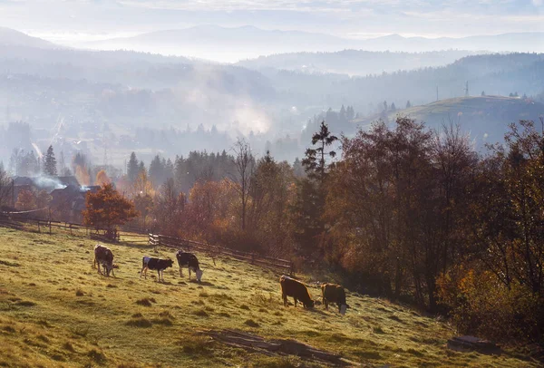 Картинный пейзаж горной деревни осенью . — стоковое фото