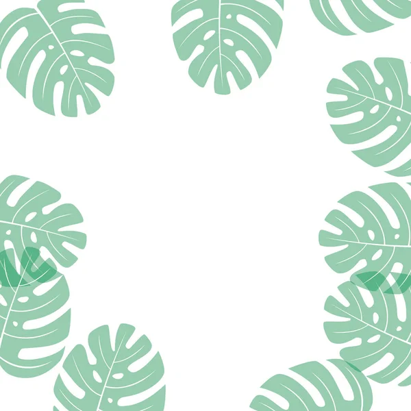 Monstera - foglia tropicale su sfondo quadrato bianco, posto per testo — Vettoriale Stock