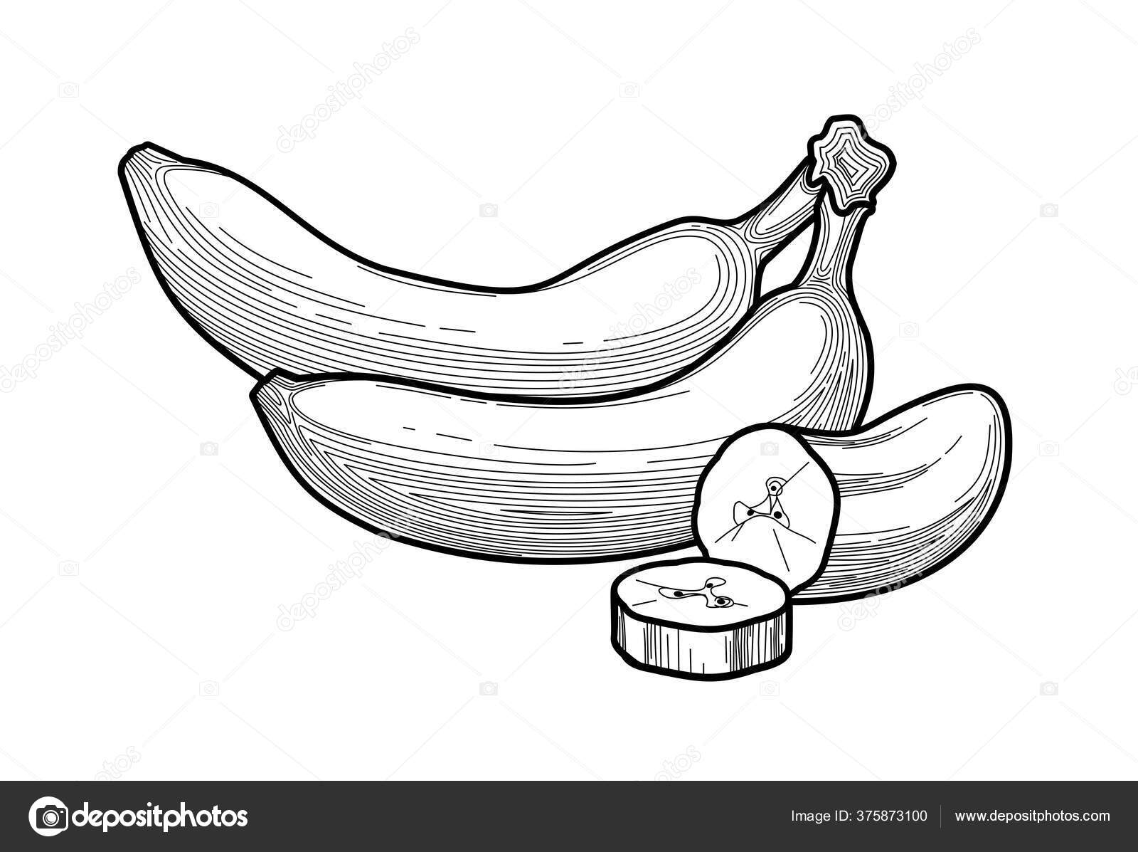 Linha Preto Da Banana a Colorir Desde O Início E Fresco Ilustração Stock -  Ilustração de fresco, fundo: 149376569