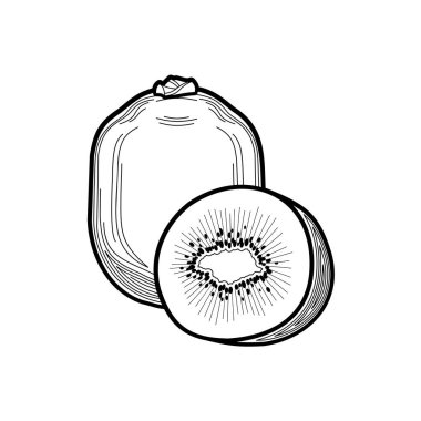 kivi - ince çizgilerle çizilmiş düz bir stil ile çizilmiş bir meyve. kivi - beyaz arka planda boyama kitabı. Sağlıklı yemek, vitaminler. siyah ve beyaz meyve ikiye bölünmüş.