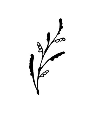 Yapraklı dal, beyaz bir arkaplanda izole edilmiş. Dal silueti - düz çizim. Tasarım için çiçek ögesi