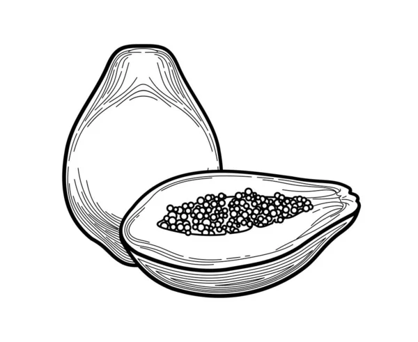 Desenho De Linha Única Contínua De Uma Banana. Desenho De Uma Fruta Inteira  Com Uma Única Linha. Estilo Abstrato. Fruta Tropical De Linha Contínua.  Ilustração Vetorial Minimalista Em Fundo Branco Isolado. Royalty