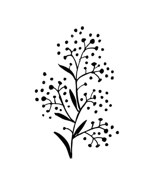 Гілочка Ізольована Білому Тлі Гілочка Плоска Ілюстрація Рослина Квіти — стоковий вектор