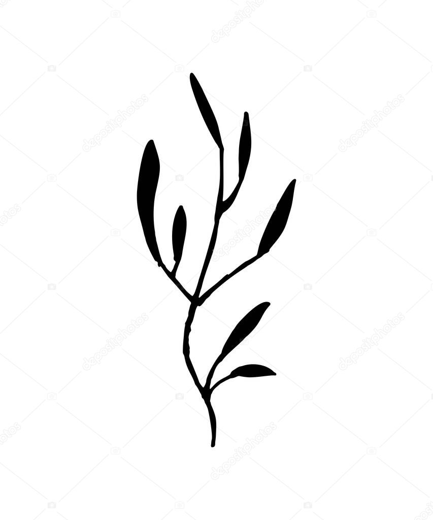 branch with leaves - isolate on a white background. twig silhouette - flat illustration. plant, flowers. floral element for design