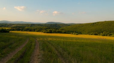 Çayır güzel sahne baharda bir sıcak bahar gününde