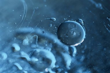 Sperm, yumurta Ovule, doğal gübreleme. Tıbbi bir tema üzerinde mikro fotoğraf