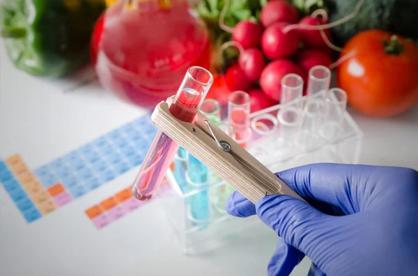 Analyst in gloves takes test tube. Genetically modified food concept — Stock Photo, Image