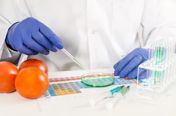 Technician working with genetically modified vegetables. GMO food in lab — Stock Photo, Image