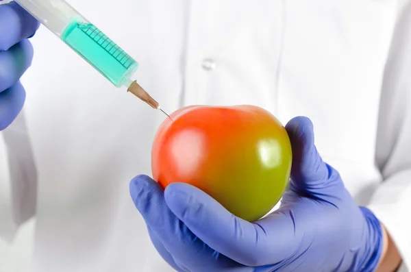 Technician uses a syringe. Genetic modification of fruits and vegetables — Stock Photo, Image