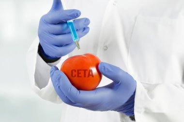 Ceta serbest ticaret anlaşması ve meyve ve sebze genetik modifikasyon
