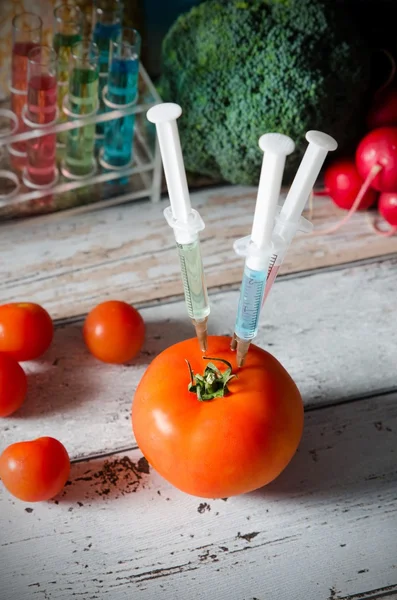 Три шприца в помидорах. Генетически модифицированная концепция питания . — стоковое фото
