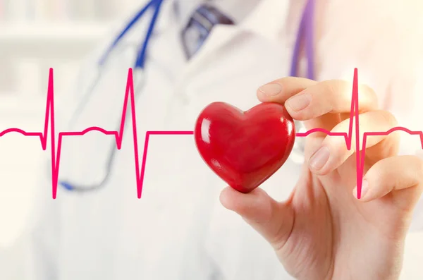 Cardiologist holding heart 3D model. Concept with cardiogram — Stock Photo, Image