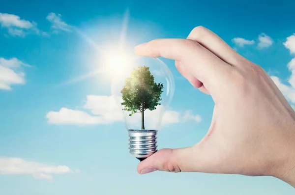 Concepto de eficiencia energética. Composición abstracta con árbol en bulbo —  Fotos de Stock