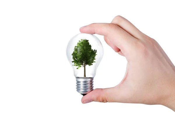 Концепция энергоэффективности. Абстрактная композиция с деревом в руках — стоковое фото