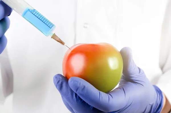 Technician uses a syringe. Genetic modification of fruits and vegetables — Stock Photo, Image