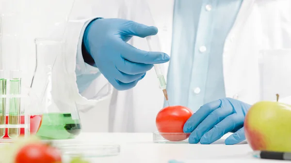 Scientist is working on genetically modified food. — Stock Photo, Image