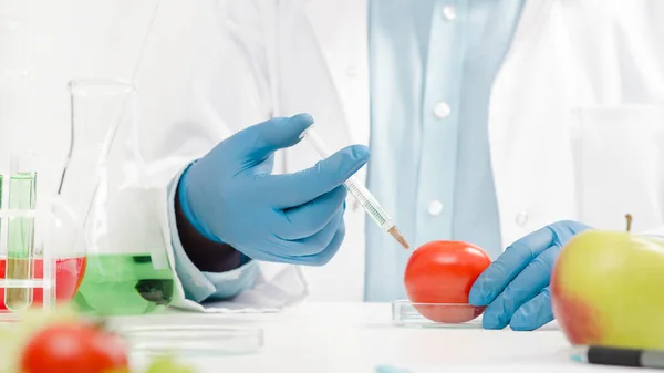 Scientist is working on genetically modified food. — Stock Photo, Image