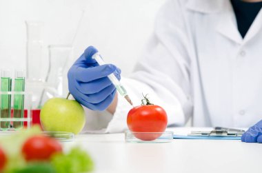 Bilim adamı genetiği değiştirilmiş gıda üzerinde çalışıyor.