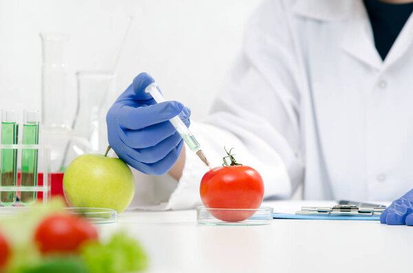 Scientist is working on genetically modified food.