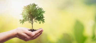 El ele tutuşma ağacı. Doğayı ve ekoloji kavramını koru