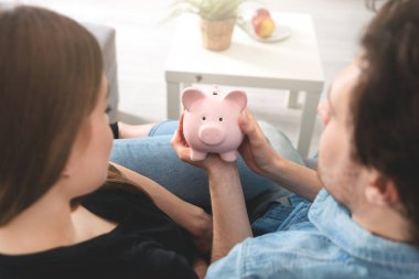 Ev bütçesi, domuz kumbaralı aile finansmanı.