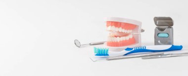 Diş bakımı, aletler ve çene izole. Kopyalama alanı olan web afişi arkaplanı