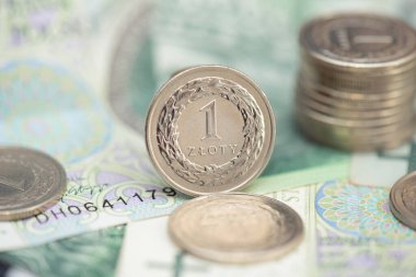 Polonya parası, para destesi, paralar. İş, finans kavramı