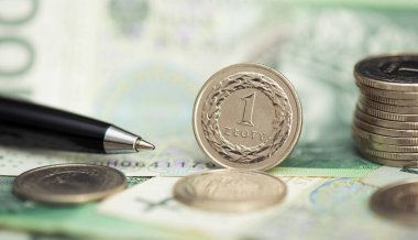 Polonya parası, para destesi, paralar. İş, finans kavramı