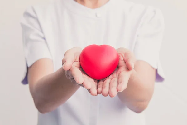 Senior female nurse holding red heart symbol in her 2 hands; isolate on white