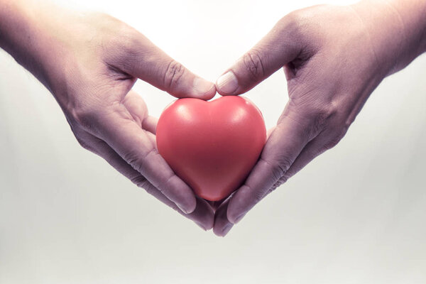 Close up of Red heart in hands on white background