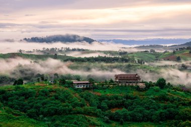 Tepede erken gün doğumuyla Beyaz Sis ve Tayland 'ın yağmurlu mevsiminde Bungalov