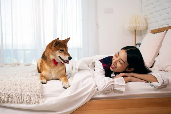 Молодая Красивая Азиатка Лежит Собакой Сиба Ину Кровати Шиба Собака — стоковое фото