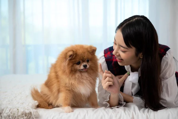 Junge Hübsche Asiatin Liegt Und Neckt Hand Braunen Pommerschen Hund — Stockfoto