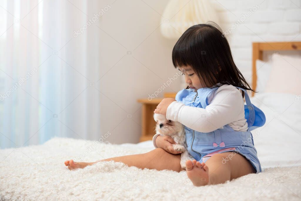 Asian 3-years child sitting on white bed and hug little white Maltese dog with care and tender