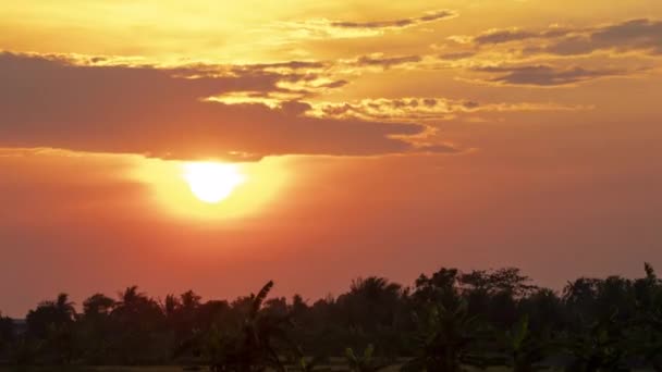 Caducidad Puesta Sol Hora Dorada Con Movimiento Nubes Campo Arroz — Vídeo de stock