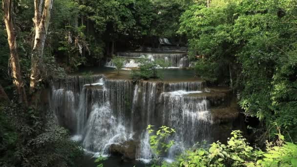 Schöne Tiefe Waldwasserfall Strömen Schnell Nach Unten Jedem Schritt — Stockvideo